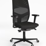 Easyback Plus
