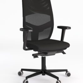 Easyback Plus