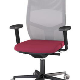 Easyback Plus