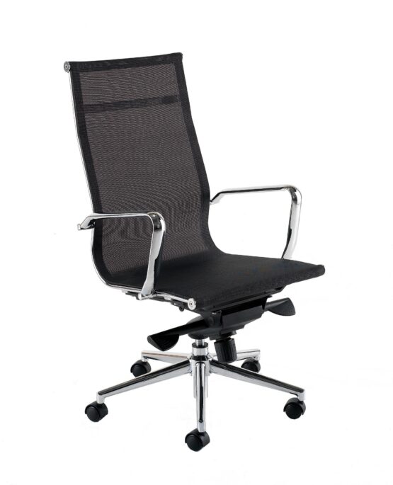 Breeze Executive Mesh Back Office Chair