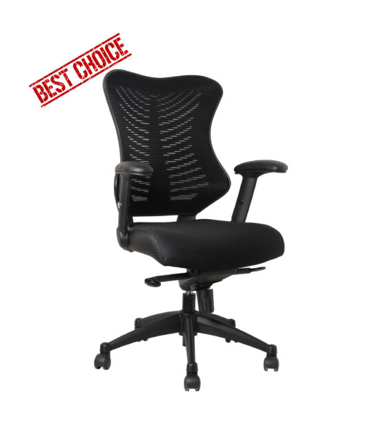 .Spine Mesh Back Office Chair