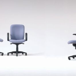Ergoform Ergonomic Office Chair