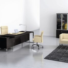 Management Executive Office Desk