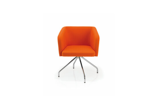 ZEST - Image 5