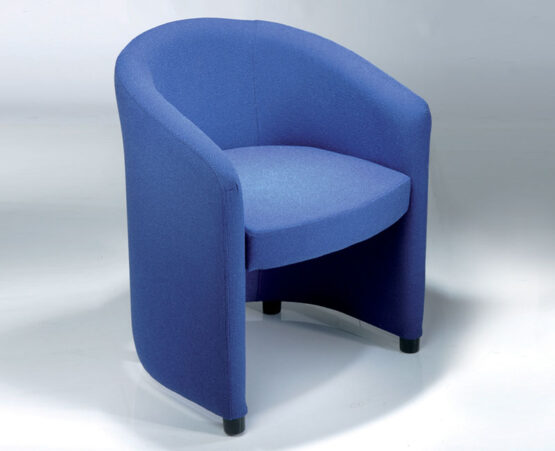 BLUEBIRD - Image 2