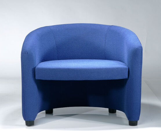 BLUEBIRD - Image 4