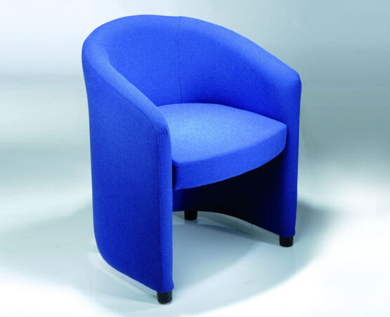 BLUEBIRD - Image 6