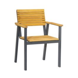 Robinia Bench Arm Chair