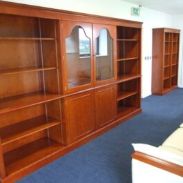 DISPLAY CABINET WITH STORAGE