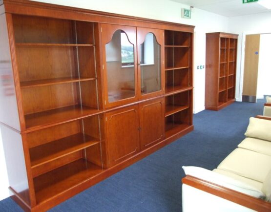 DISPLAY CABINET WITH STORAGE