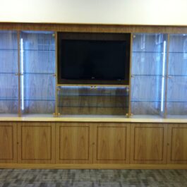 DISPLAY CABINET WITH LIGHTING