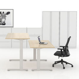HEIGHT ADJUSTABLE DESKS