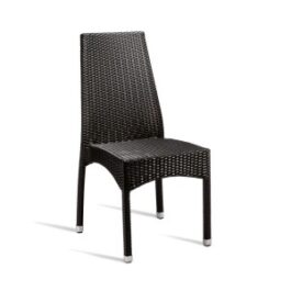 LEAF SIDE CHAIR