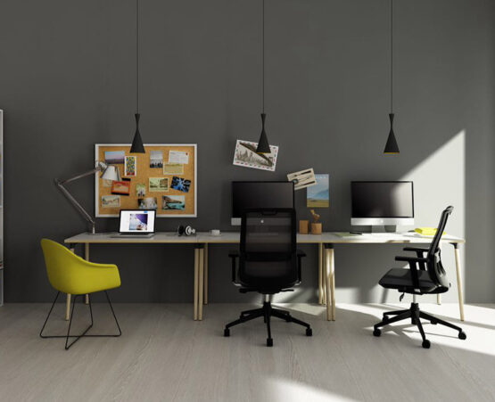 DOVE - Image 20