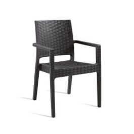 MINT ARM CHAIR