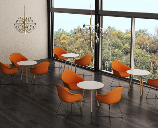 DOVE - Image 24