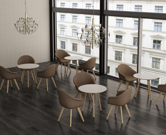 DOVE - Image 25
