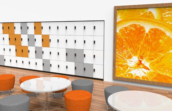 STORAGEWALL LOCKERS - Image 2
