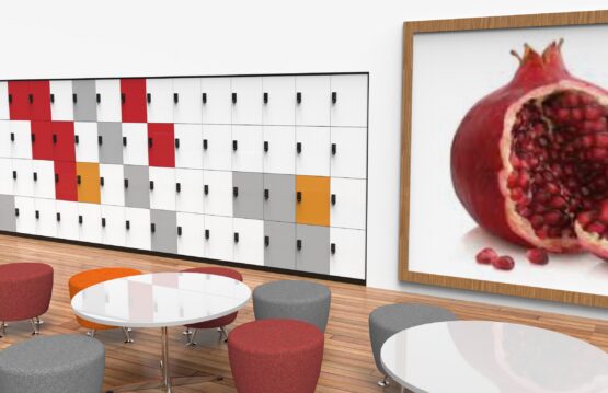 STORAGEWALL LOCKERS - Image 3