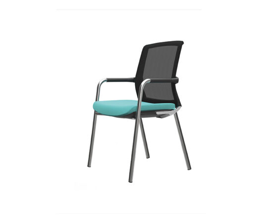 TR250 - Image 2