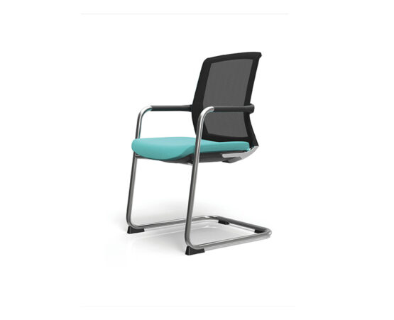 TR250 - Image 3