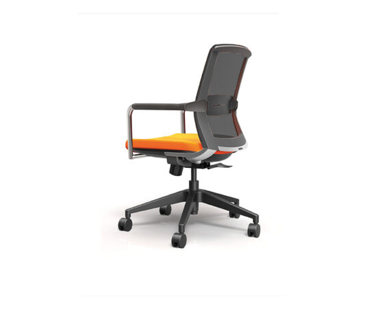 TR250 - Image 4