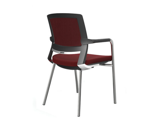 TR250 - Image 5