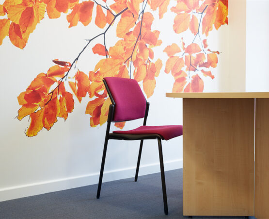 TR3 Executive Office Meeting Chair - Image 6