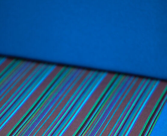 TWILIGHT - Image 12