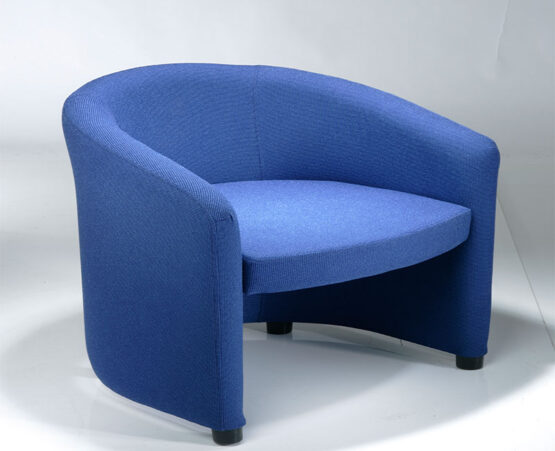 BLUEBIRD - Image 9