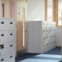 Everyday Filing Office Cabinet
