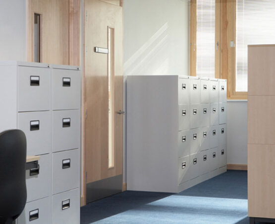 Everyday Filing Office Cabinet