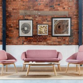 Dishy Soft Seating