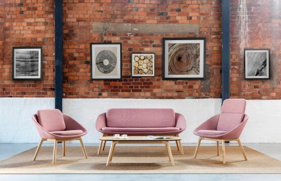 Dishy Soft Seating