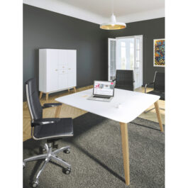 Organik Office Desk