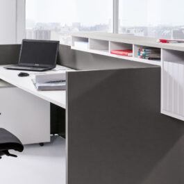 Basic C Reception Desk