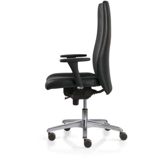 HARLY - Image 3