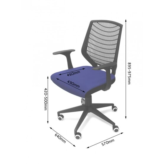 PACE BLUE - Image 3