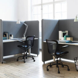 Domo Sound-Absorbent Screen System