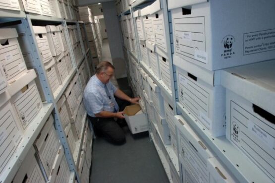 STORMOR EURO SHELVING - Image 2