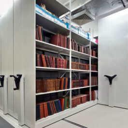MEDIUM DUTY MOBILE SHELVING