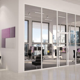 Plentywall Glass Office Partitions