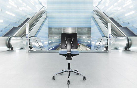 FOX - Image 21