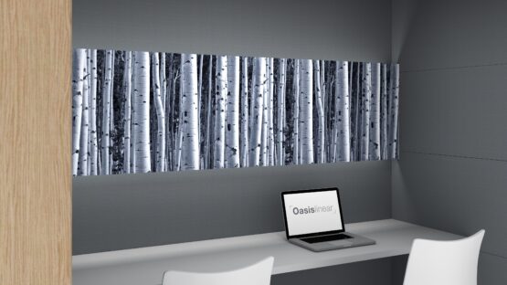 Oasis Linear Team Booth - Image 11