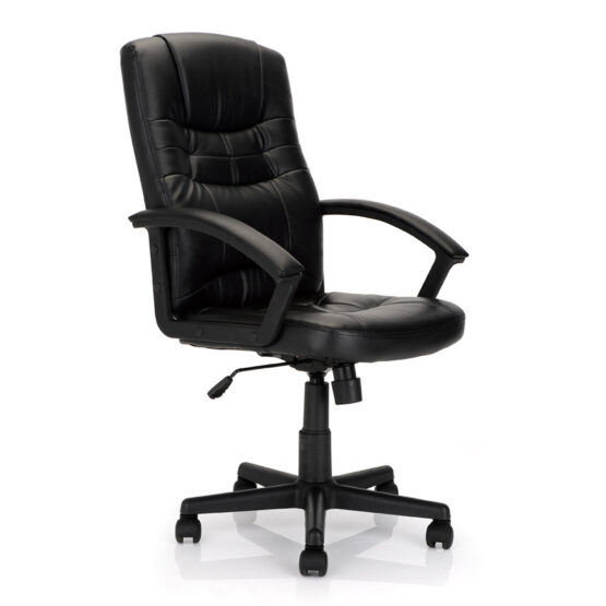 Darwin (Black) High Back Leather Effect Executive Armchair