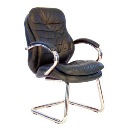 Santiago Brown Leather Visitors Armchair