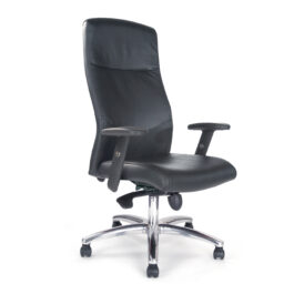 Jester (Black) High Back Executive Armchair