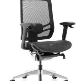 Ergo Click Black Mesh Seat Black Mesh Back