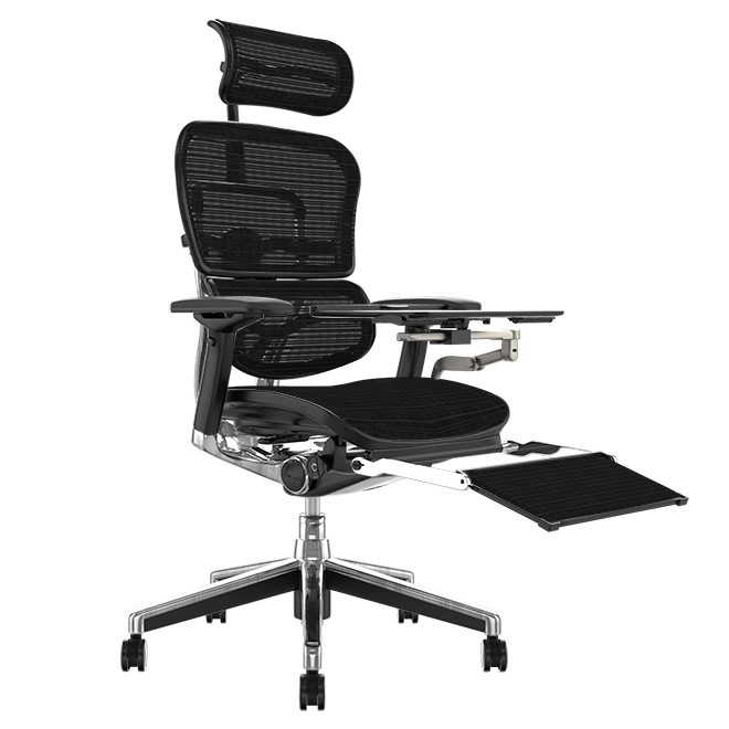 Ergo Human Plus Luxury Mesh Chair With Notebook Stand Margolis