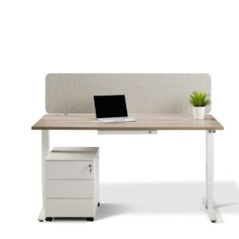 Advance Electric Height Adjustable Desk